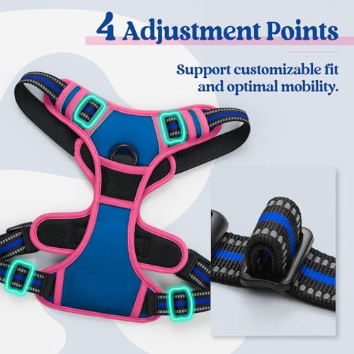 Image of rabbitgoo Dog Harness No Pull with 2 Leash Clips, Adjustable Soft Padded, Reflective Oxford No Choke Pet Vest with Easy Control Handle for Large Dogs, Blue & Hot Pink, M