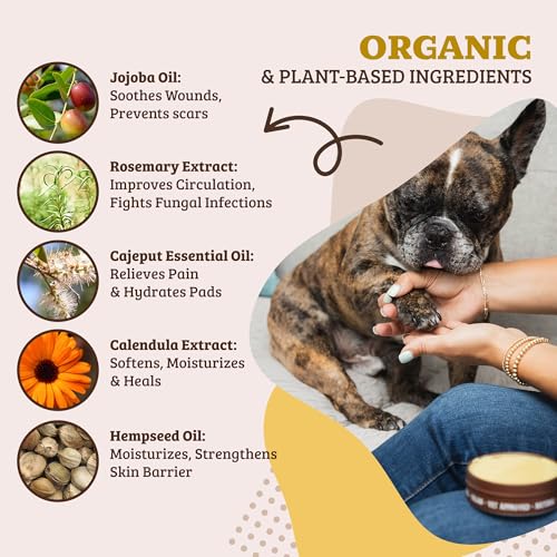 Image of Natural Dog Company Paw Soother Dog Paw Balm - Moisturizes Dry Cracked Paws After Walks, Hot Pavement, Beach Sand, Hiking & Outdoor Play with Coconut Oil & Calendula, Daily Paw Care, 1 oz Tin