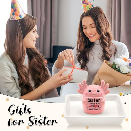 Image of Sister Birthday Gifts for Sister, Pink Ceramic Axolotl Ring Holder Dish | Cute Pink Axolotl Jewlery Tray with 'I love you axolotl' Birthday Christmas Gift for Sister from Brother