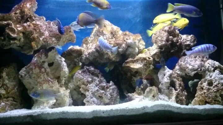 View 5