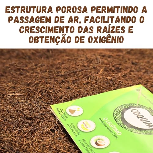 Manta Fofa Basket 30cm Diâmetro Para Orquídeas, Samambaias, Bromélias, Suculentas