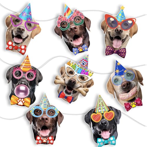 Image of Labrador Dog Birthday Garland, Photographic Labrador Retriever Faces Birthday Banner, Funny Labrador Dog Bday Party Bunting Decoration