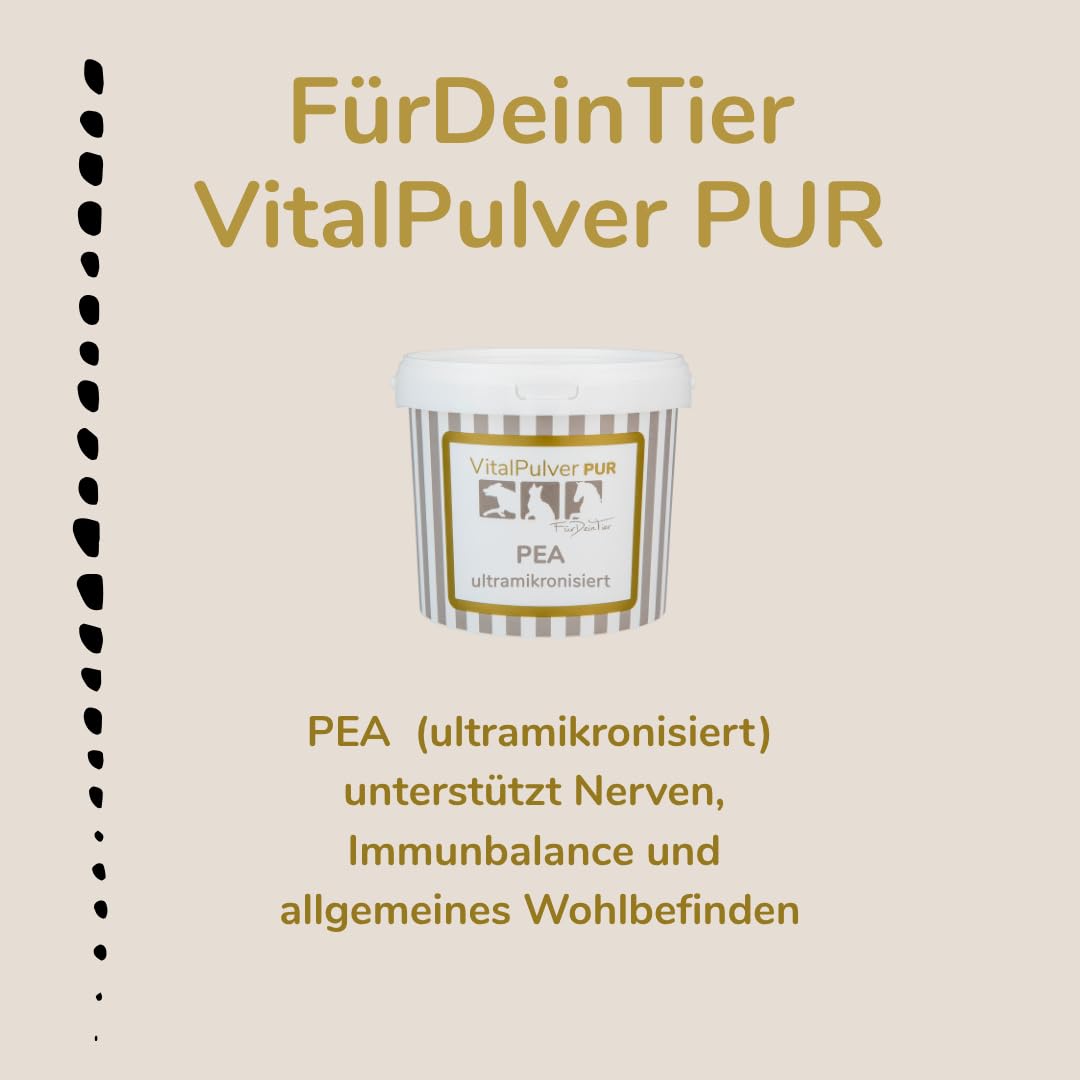 Für Dein Tier VitalPulver Pur | PEA (ultramikronisiert) (1 x 750 g) | 100% reines Palmitoylethanolamid | hergestellt für für Hunde, Katzen und Pferde | Hochwertiges Einzelfuttermittel