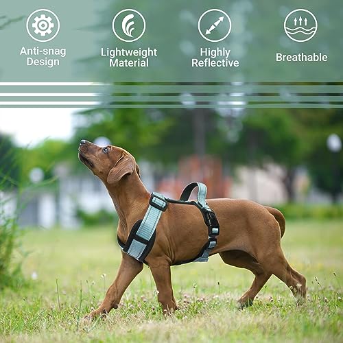 LiebeDD Hundegeschirr Grün L - Brustgeschirr Hund Mittel Reflektierend Anti zieh Hunde Geschirr Hund Zuggeschirr Gepolstert mit Griff Dog Harness für Welpen Kleine und Mittelgroße Hunde