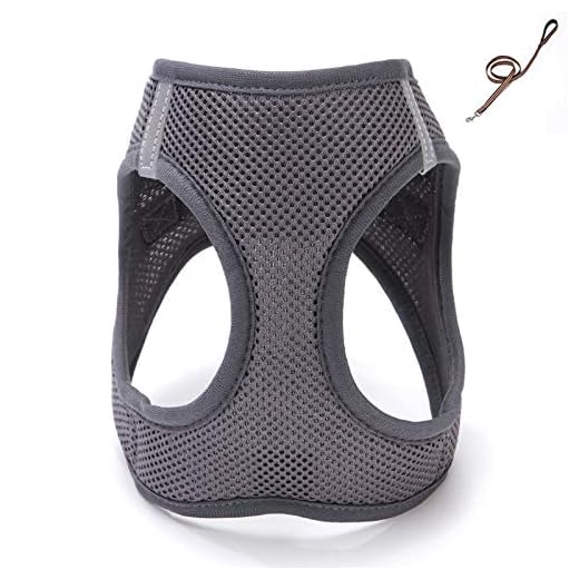 ZGQA-GQA Adjustable Pet Dog Leash Vest-Style Pet Chest Harness Mesh Chest Harness, Suitable for Outdoor Walking- Harness - No Escape Dog Harness-Grey-l-l