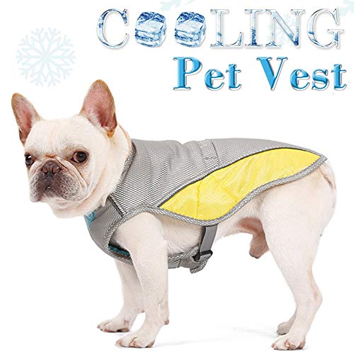 Best Cooling Vests For Bulldogs Just HEALTHIER Bullies!