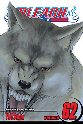 Bleach, Vol. 62: Heart of Wolf