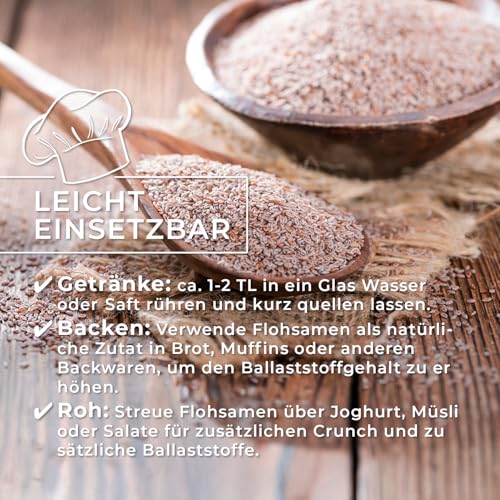 GreatVita Bio Flohsamen 1000g | 99% reine ganze Flohsamen - zertifizierte Bio-Qualität aus Indien | reich an Ballaststoffen & glutenfrei, vegan - ideal für eine gesunde Ernährung