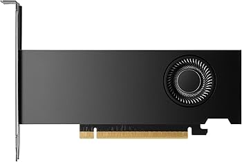 Amazon.com: PNY NVIDIA RTX 2000 Ada Generation 16GB GDDR6 PCI