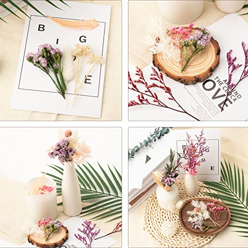 LAUMOE Trockenblumen, Getrocknete Blumen, Trockenblumen Zum Basteln Klein Set ​für Kunst DIY Harz Scrapbooking Handwerk Karten Machen (Stil 4)