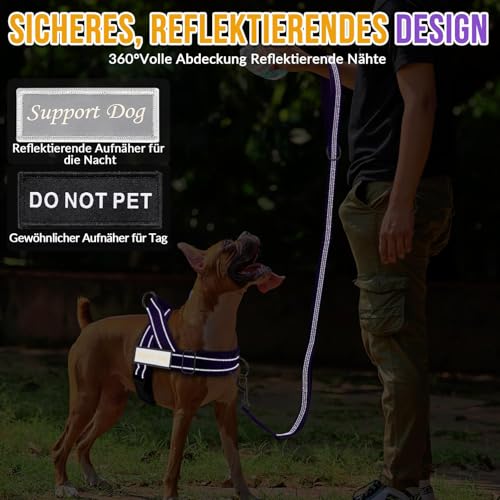 Eyein Hundegeschirr mit Leine für große mittelgroße Hunde, Weich gepolsterter Brustgeschirr mit 2 Leinenclips, Reflektierend & Leichtgewicht Anti Zug Geschirr für Spaziergänge Training, Lila, L