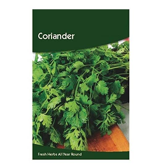 VibeX Multicut Coriander Seeds-350 Seeds (B0BBGNBZKR) Amazon Price History, Amazon Price Tracker