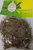 Tlanchalagua hierba Tea 1 OZ