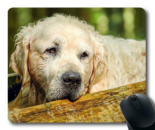 素敵なパグ犬ゲーミングマウスパッド、ゴールデンレトリバー犬レトリーバー男性古い、犬マウスマット