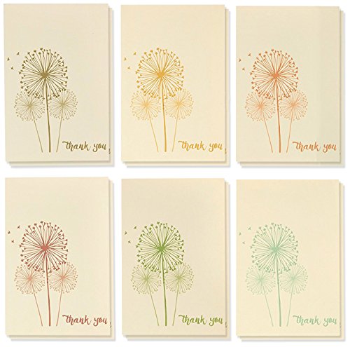 Thank You Cards - 48-Count Thank You Notes, Bulk Thank You Cards Set - Blank on The Inside, 6 Vintage Dandelion Designs - Includes Thank You Cards and Envelopes, 4 x 6 Inches