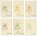 48 Pack Vintage Dandelion Thank You Note Cards Design Bulk Box Set Envelopes Included (4 x 6 inches)