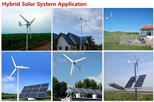 ECO-WORTHY 400W Generatore Eolico 12/24 V Turbina