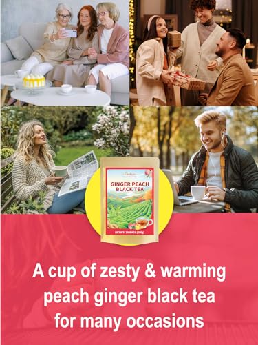 Image of TeeLux Peach Ginger Black Tea, Mellow Black Tea with Spicy Ginger & Peach Flavor, Caffeinated, 100 Count