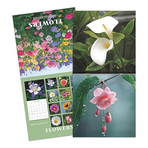 Monthly Wall Planner - 12-Month 2026 Wall Calendar | Flower Theme Planner Calendar | 2026 Floral Calendarr For Artists Students 