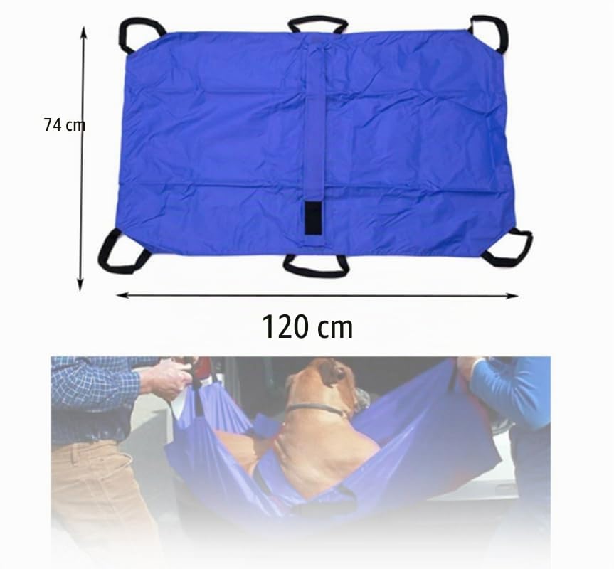 Civière de Secours Pliable pour Animaux, Portable et Légère, Jusqu'à 60 kg – Transport Chiens Chats Âgés ou Blessés, Lavable et Antichoc