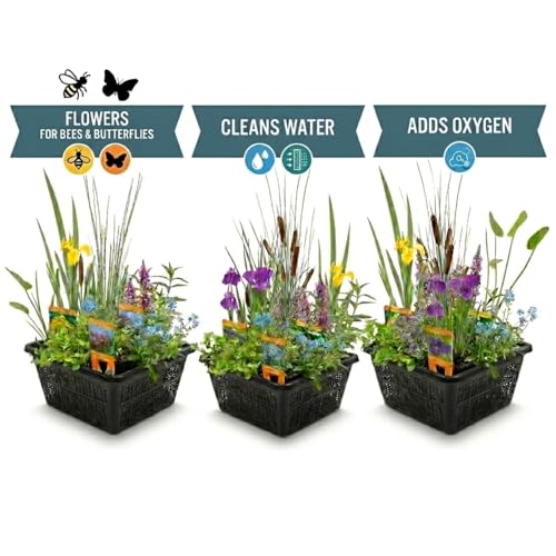 vdvelde․com - Plantes de bassin 12 pièces, 3 paniers et 3 anneaux – vue 6