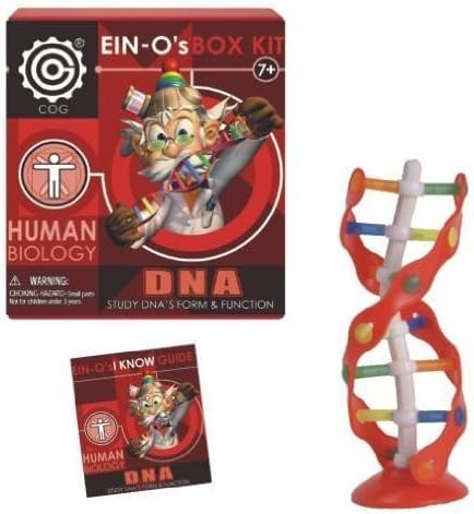 DNA: EIN-O's DNA Box Kit