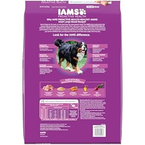   IAMS-Healthy-Aging-Adult-Large-Breed-Dry-Dog-Food-for-Mature-and-Senior-Dogs-with-Real-Chicken-15-lb-Bag