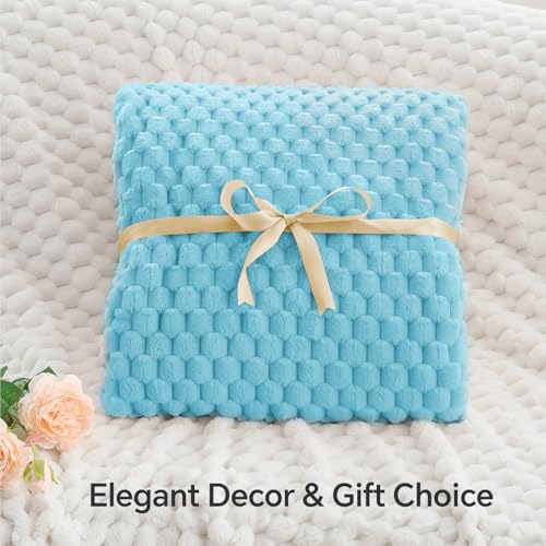 Image of BEDELITE Light Blue Throw Blanket for Couch, Soft Gifts for Women, 50 * 60 | 3D Jacquard Decorative Fleece Blanket, Super Soft Plush Throws, Cute Birthday Gift for Women & Men, Suitable for All Seasons