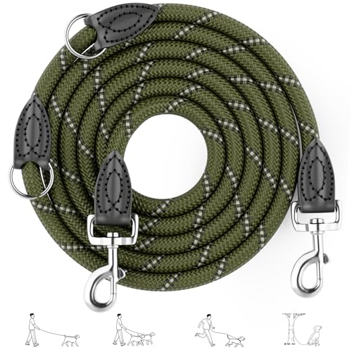 Aystkniet 2M Verstellbar Hundeleine für Große und Mittlere Hunde, Robuste Nylon Reflektierende Freihandleine mit 2 Karabiner, Vielseitig Führleine und Umhängeleine mit 250kg Zugkraft, Grün, 12mm