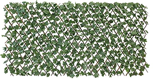 HERSIG - Celosia con Hojas Oscuras Extensible | Celosia para Balcon, Terraza, Jardin o para Interior de Color Verde - 60 x...