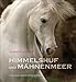 Produktbild Himmelshuf und Mähnenmeer: Drei Pferde-Fotogeschichten.