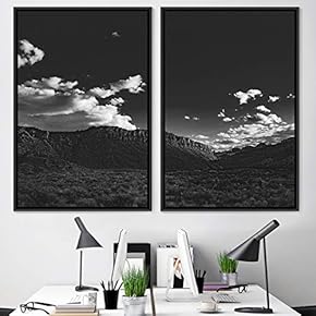 signwin 2 Piece Framed Canvas Wall Art Monochromatic...