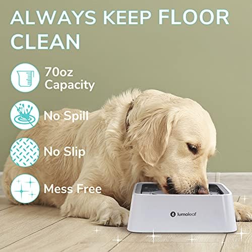 Should Dogs Share Water Bowls