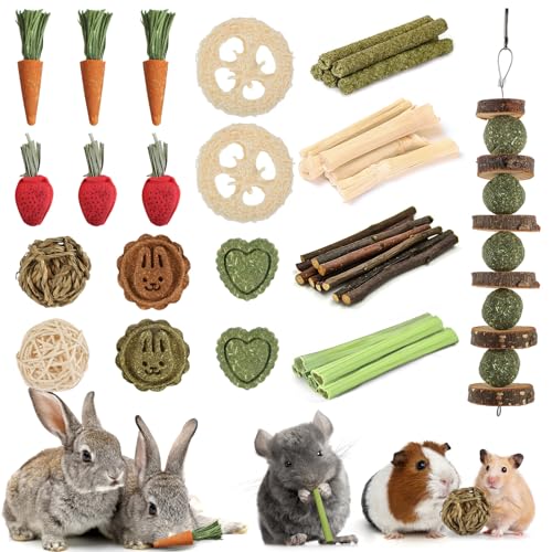 40 PCS Rabbit Chew Toys for Teeth, Natural Bunny Chew Toys Carrot...