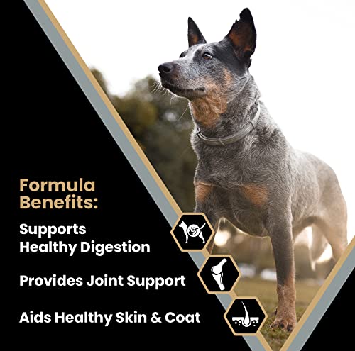 Image of VICTOR Purpose - Senior Healthy Weight Management Dry Dog Food, 40 lb