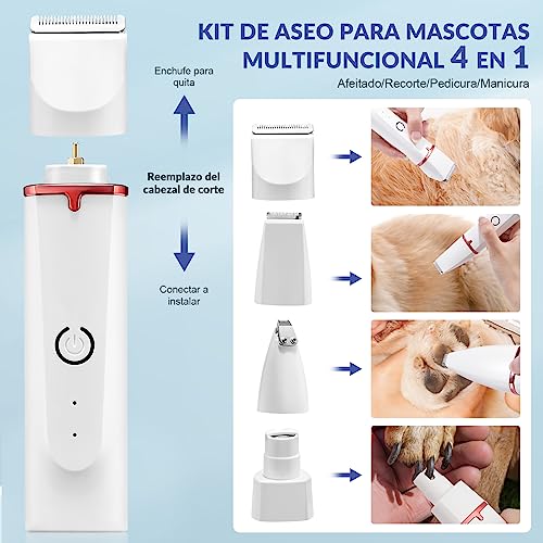 La mejor comparación de Corta pelo Taurus que puedes comprar esta semana. 8 Imagen adicional