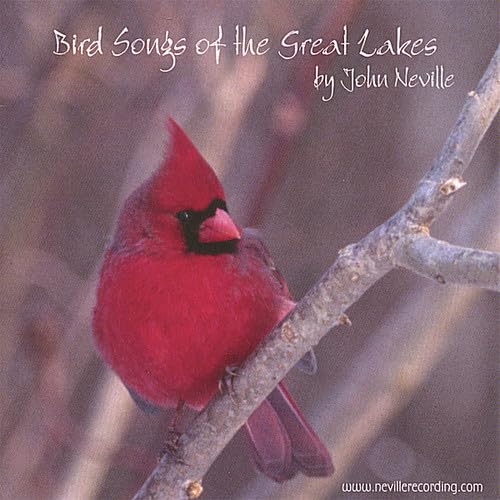 Bird Songs of the Great Lakes [Audio CD] John Neville