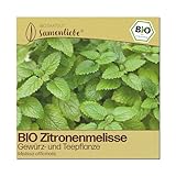 Samenliebe BIO Zitronenmelisse Samen | Melisse - winterhart & mehrjährig - samenfestes BIO Saatgut