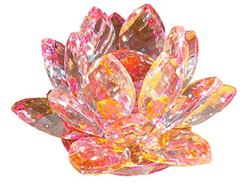 [KKD] NX^ KX u Jt @̉ CeA  nX  J^ TLb`[ (8cm sN)