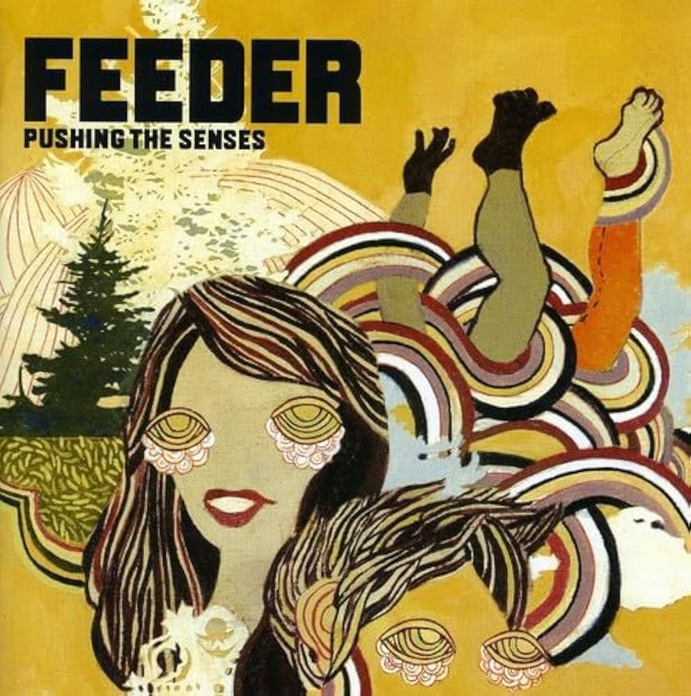 【レコード】Feeder/Pushing The Senses(UKオリジナル) Pushing the Senses: Amazon.com.br: CD e Vinil