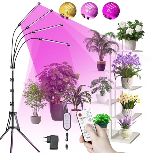 Lampe LED pour plantes contre le jaunissement des feuilles en intérieur sombre