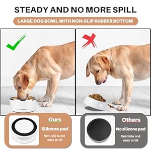 Stainless steel dog bowls with non slip rubber bottomdurable insulated dog water bowls for meduim large dogsheavy duty metal cold pet food bowlsrustproofdishwasher safe 100ozwhite   cucciolini doodles