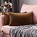 MIULEE Funda de Cojines para Sofá Funda de Almohadas de Terciopelo Suave Almohada Decorativa Moderna Funda Cojin para Sala de Estar Cama Silla Dormitorio 2 Piezas 30x50 cm Marrón Chocolate