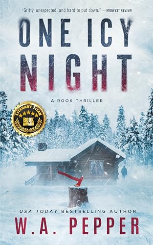 One Icy Night: A Rook Thriller