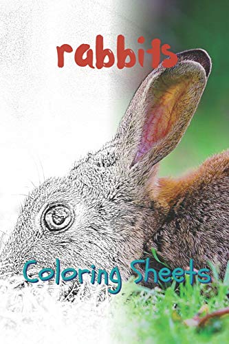 Rabbit Coloring Sheets: 30 rabbit drawings,coloring sheets adults relaxation, coloring book for kids, for girls, volume 7