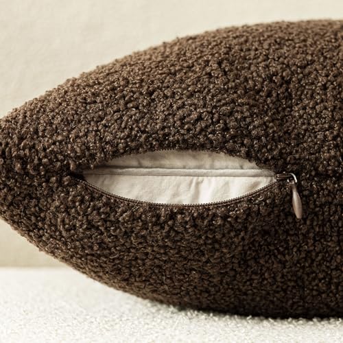 Image of Foindtower Pack of 2, Curly Faux Fur Decorative Throw Pillow Covers Soft Fuzzy Plush Cushion Case with Zipper Cozy Pillowcase for Home Living Room Couch Bed Sofa 20 x 20 Inch,Dark Brown