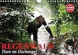 Autor(in): Elisabeth Stanzer Regenwald. Tiere im Dschungel (Wandkalender 2021 DIN A4 quer)
