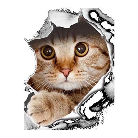 Autocollant WC Ogquaton - Chat Cover