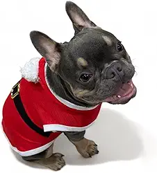 WAY PET Roupa Fantasia para Cães Natal, Fantasia Papai Noel e Mamae Noel para Cachorro, Roupa para Cães com Capuz de Pompom (X-pequeno, PAPAI NOEL)