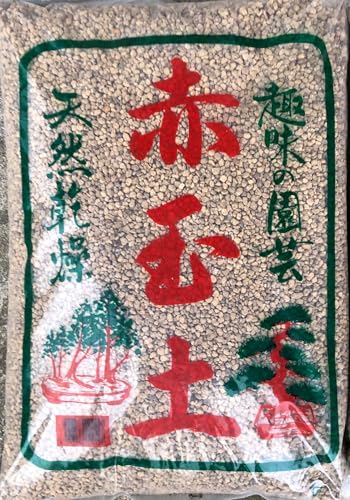 [REvp] ԋʓy(yǍށFrƕې̃oX) < A͔|E|bg͔|E~́E}> ()